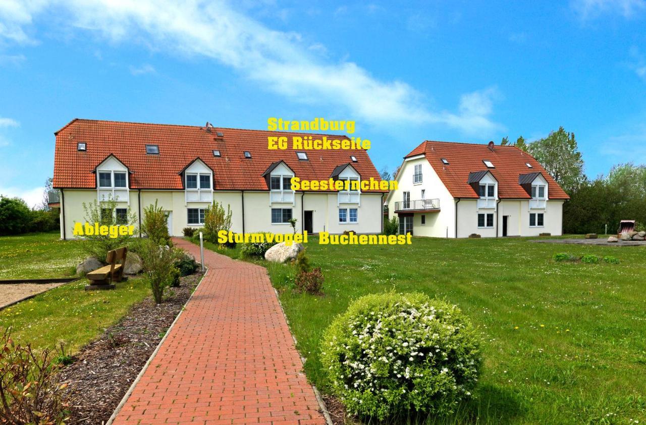 Gollwitzer Park Oase Daire Insel Poel Dış mekan fotoğraf