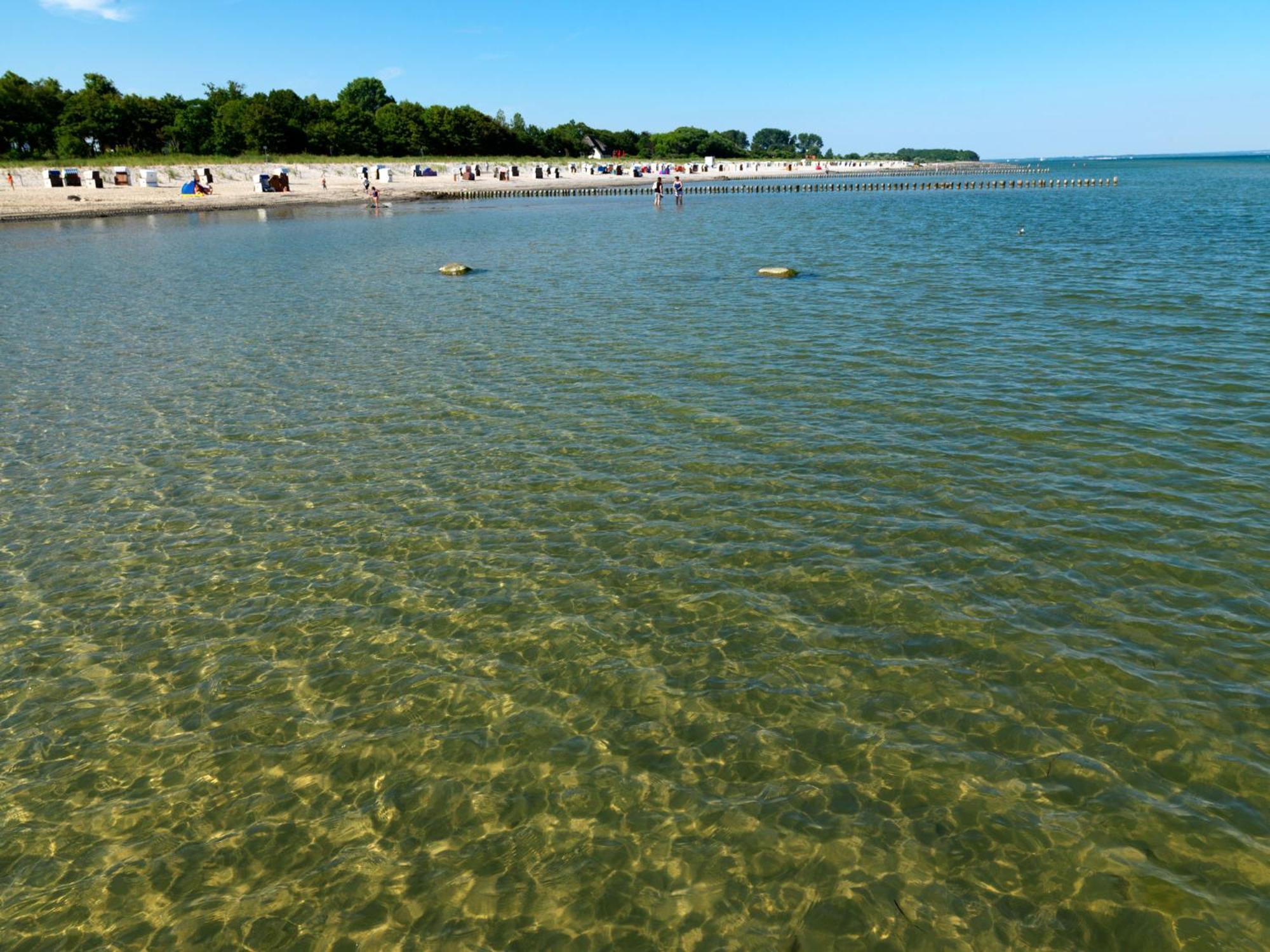 Gollwitzer Park Oase Daire Insel Poel Dış mekan fotoğraf