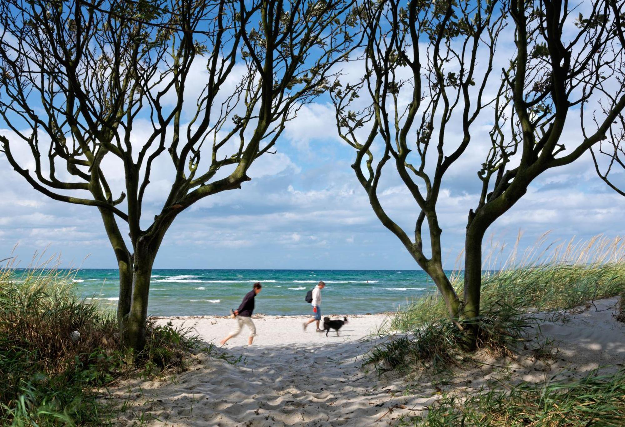 Gollwitzer Park Oase Daire Insel Poel Dış mekan fotoğraf