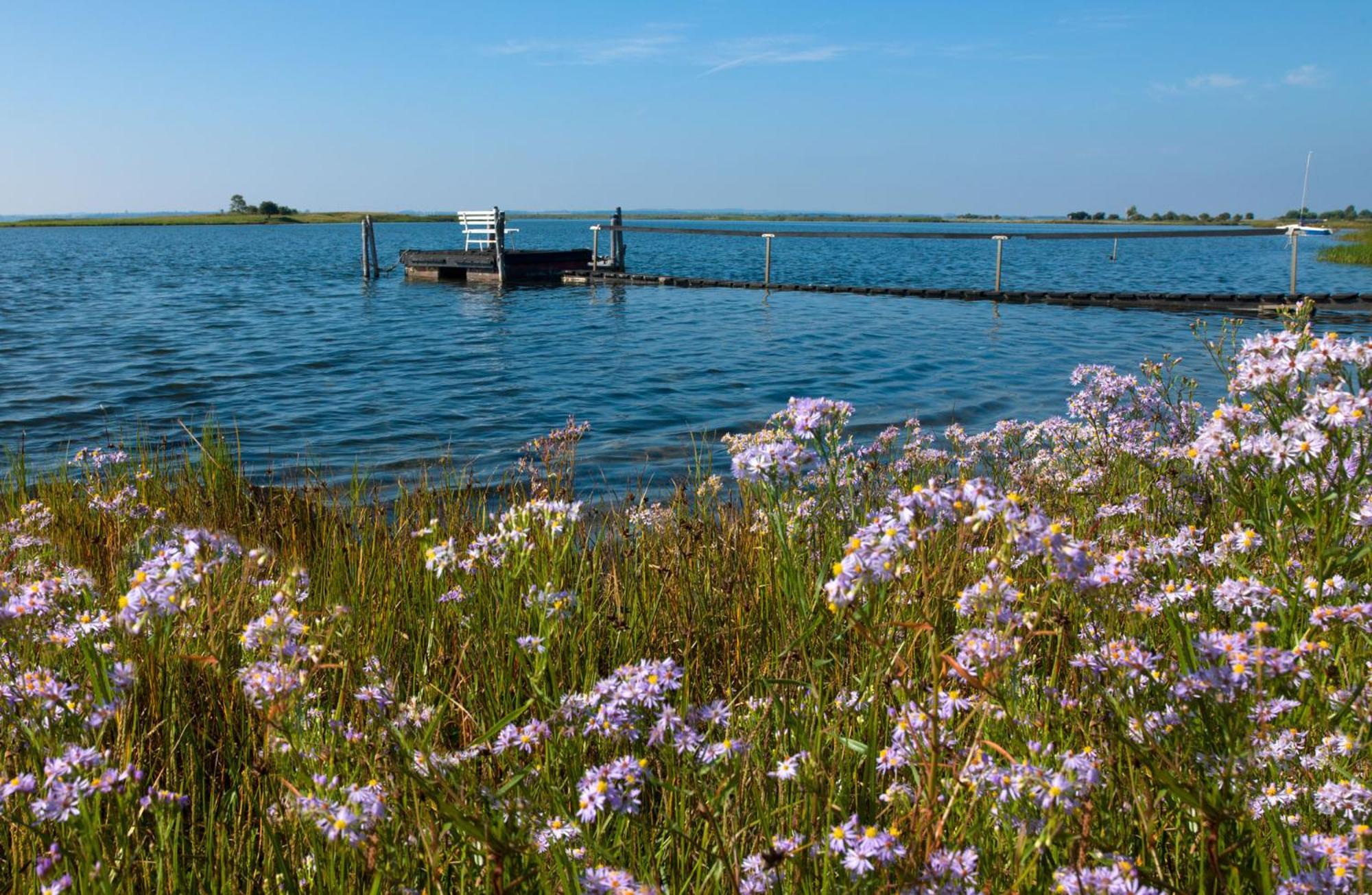 Gollwitzer Park Oase Daire Insel Poel Dış mekan fotoğraf