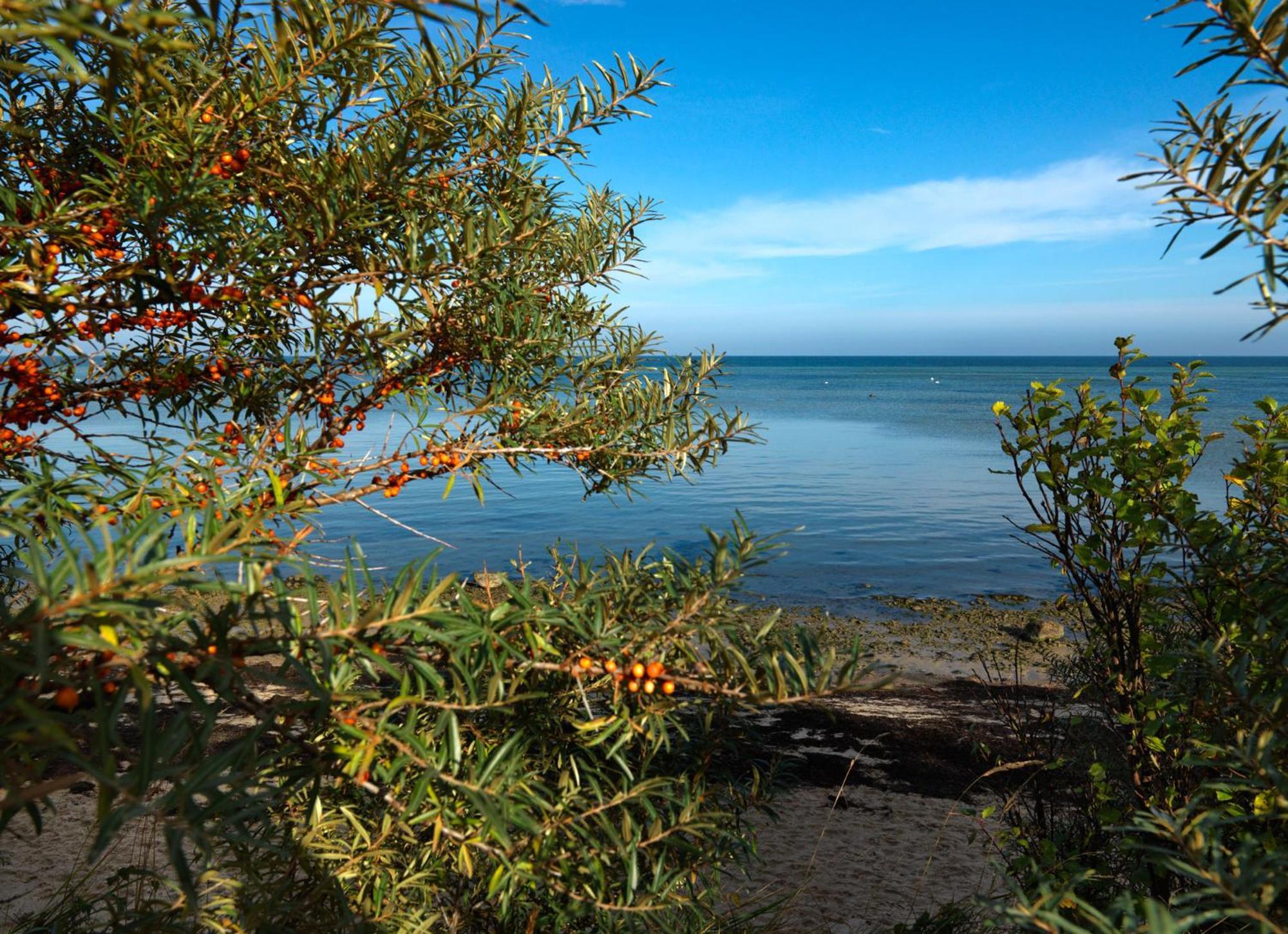 Gollwitzer Park Oase Daire Insel Poel Dış mekan fotoğraf
